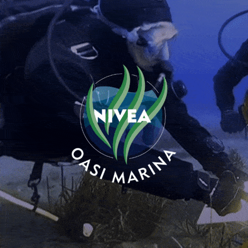 nivea